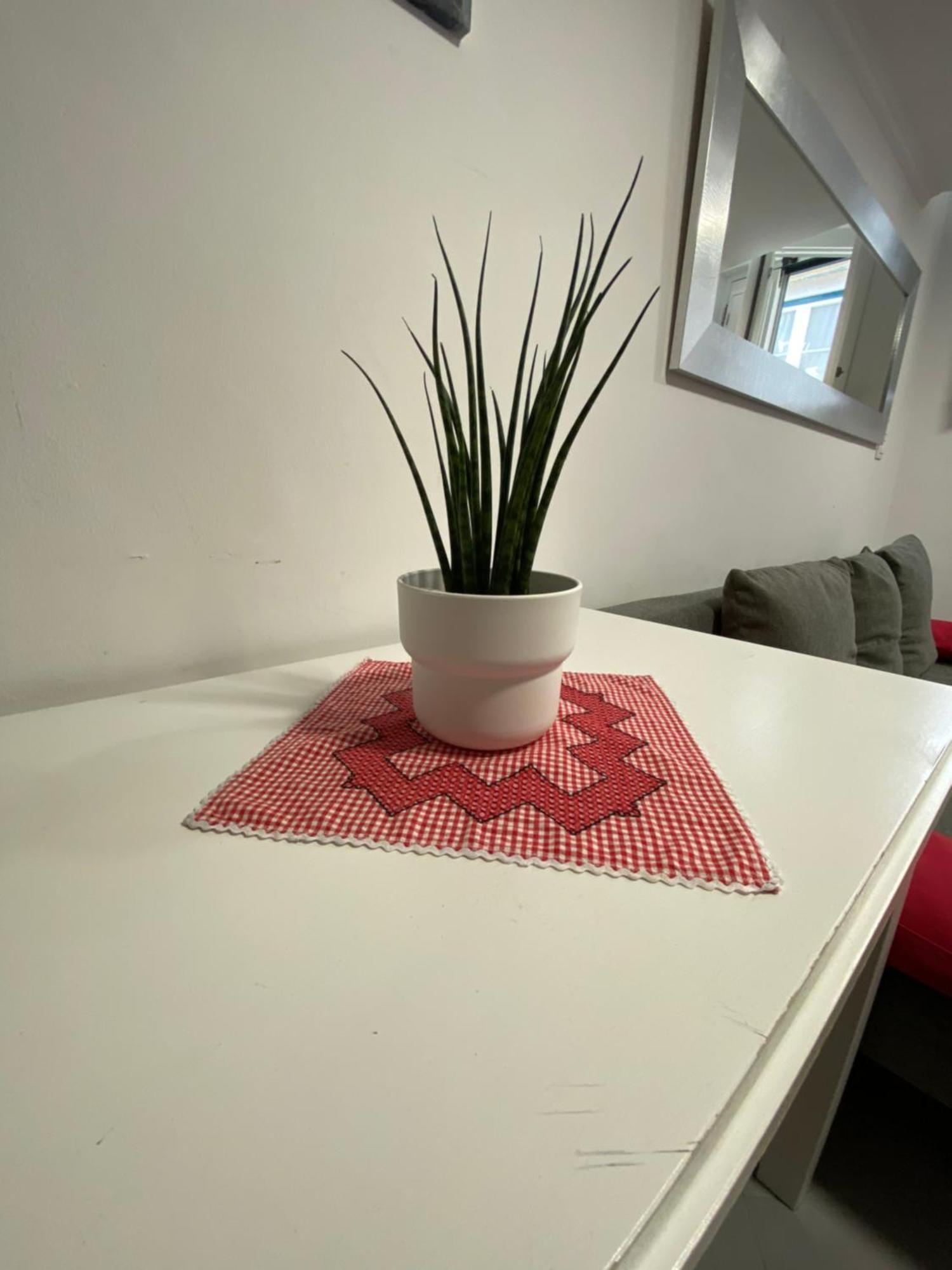 Apartment Charm Of Ii *